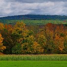 Early Autumn Scene